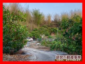 誠昱/左鎮近化石園區丙.