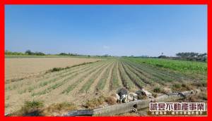 誠昱/安南佃北5.6分都內農地